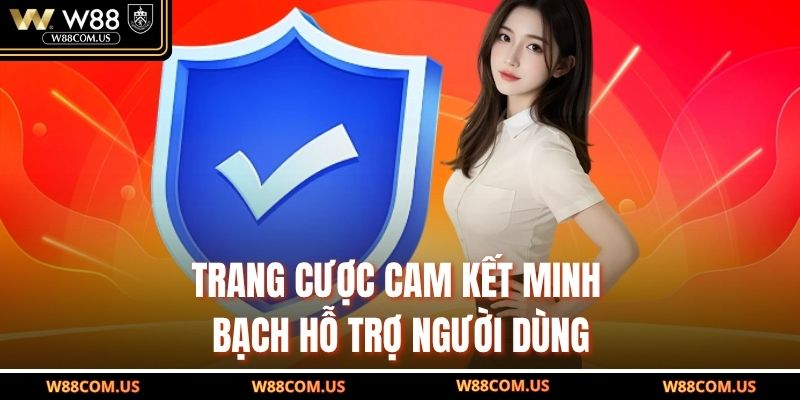 Trang cược cam kết minh bạch hỗ trợ người dùng